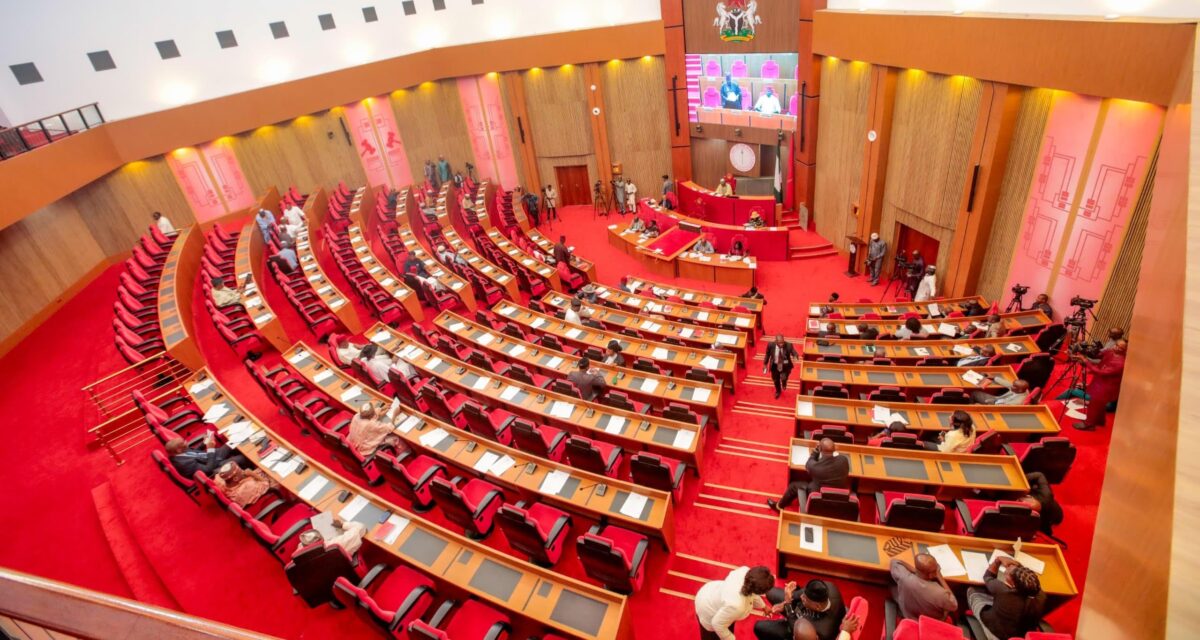 Senate directs emergency interventions in Anambra, Imo, others – Daily Trust