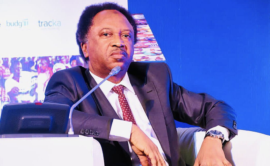 Shehu Sani reveals 3 common factors why terrorists murder Northern clerics