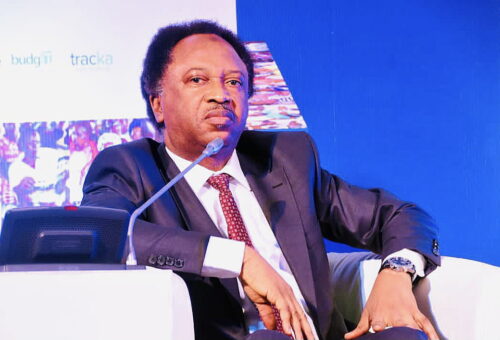 Shehu Sani reveals 3 common factors why terrorists murder Northern clerics