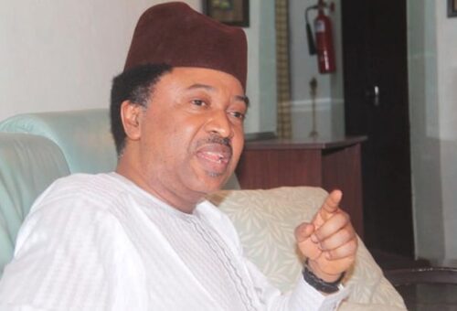 Don’t Waste Your Money In Court, Shehu Sani Tells Affected Candidates – Daily Trust