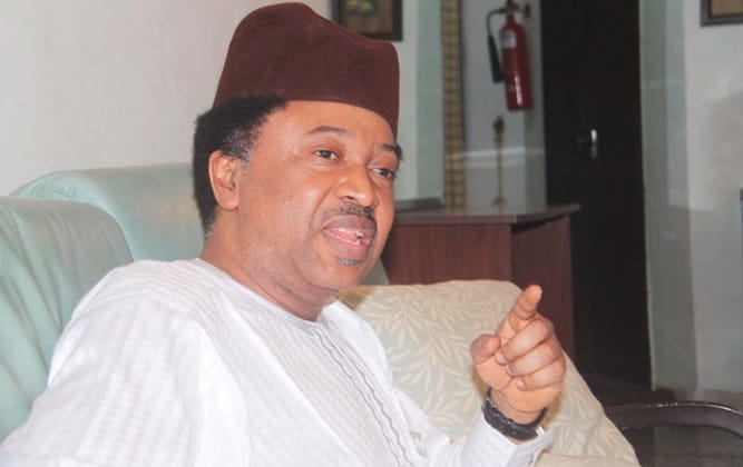 Don’t Waste Your Money In Court, Shehu Sani Tells Affected Candidates – Daily Trust