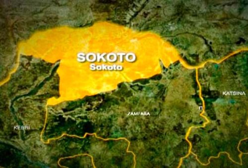 1 Shot, 28 Cattle Rustled As Police Confirm Bandit Attack In Sokoto