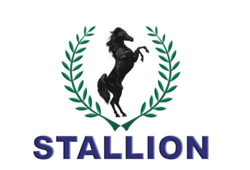 Stallion Group Companies Remain Unaffected And Fully Operational – THISDAYLIVE
