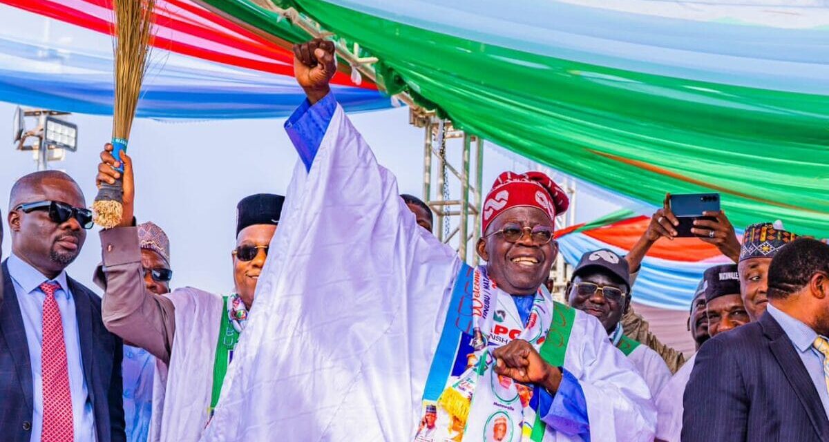 Tinubu won’t go everywhere – Daily Trust