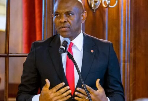 Elumelu Backs bn Infrastructure Investment Drive Across West Africa – THISDAYLIVE