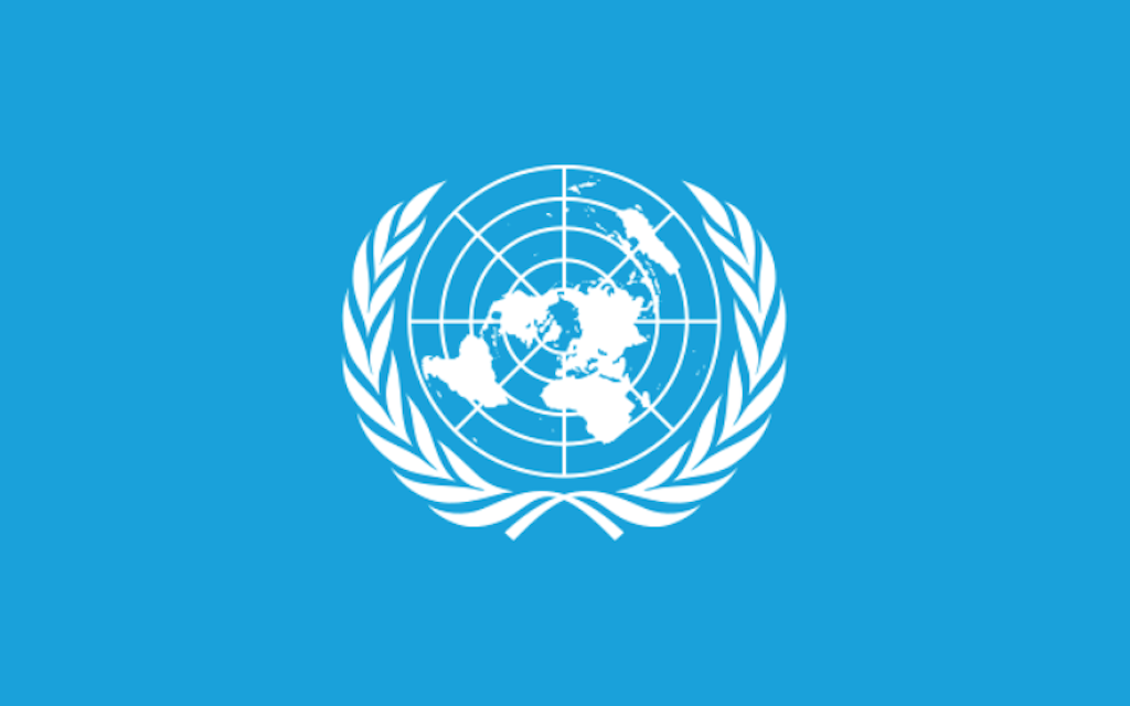 UN General Assembly adopts pandemic declaration, urges stronger global cooperation