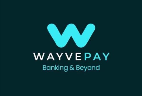 WayvePay hits 100,000 customers, expands digital banking – Daily Trust