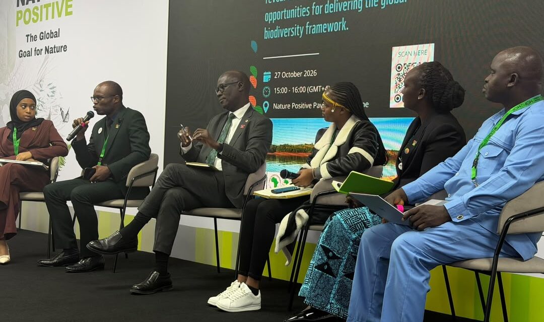 CBD COP17: Why African countries struggle to mobilise biodiversity funding – AfDB official