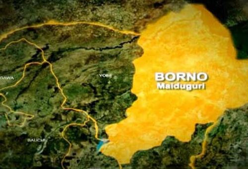 150 Days After, Foundation Demands Urgent Rescue Of Abducted Borno Pupils