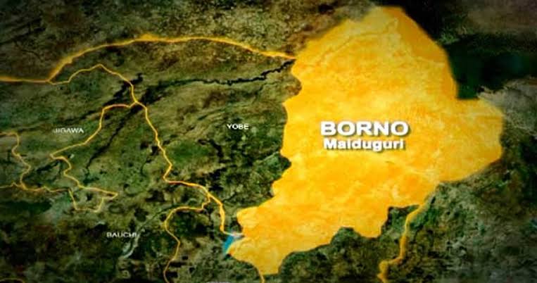 150 Days After, Foundation Demands Urgent Rescue Of Abducted Borno Pupils