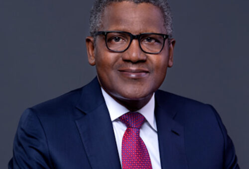 Aliko Dangote Hosts Nigeria’s A-List Stars on Exclusive Tour  – THISDAYLIVE