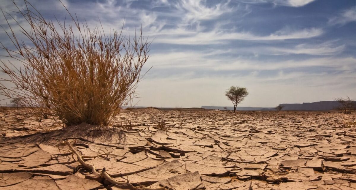 Experts urge youths to stop activities that worsen climate change