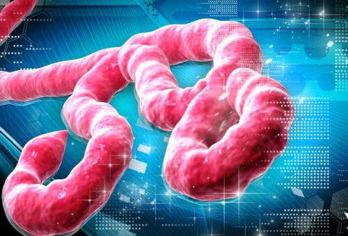 NCDC warns of importation risk after Kenya confirms first case