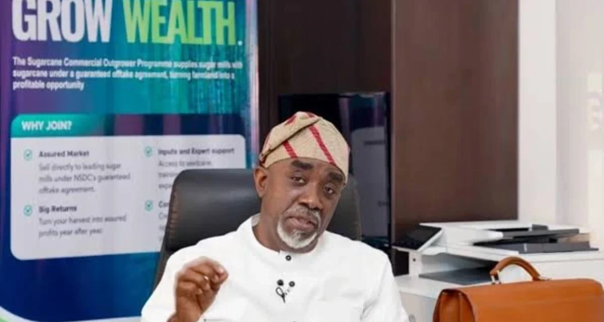 Nigeria targets over 2 million tonnes of annual sugar production through 13 projects