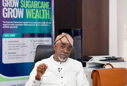 Nigeria targets over 2 million tonnes of annual sugar production through 13 projects