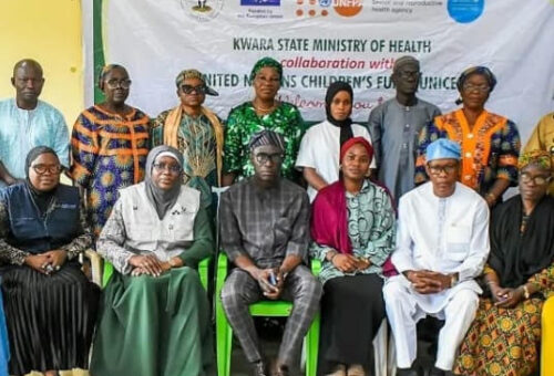 DGI Consult, UNICEF Strengthen Primary Healthcare Management in Adamawa, Kwara, Sokoto – THISDAYLIVE