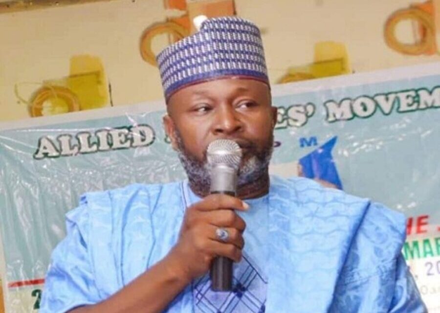 IPAC Highlights Efforts To Strengthen Nigeria’s Democratic Culture